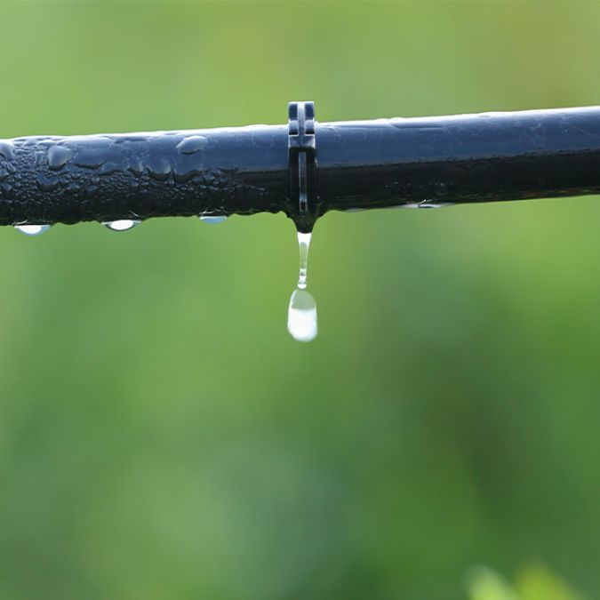 What is drip irrigation: Exploring the irrigation benefits