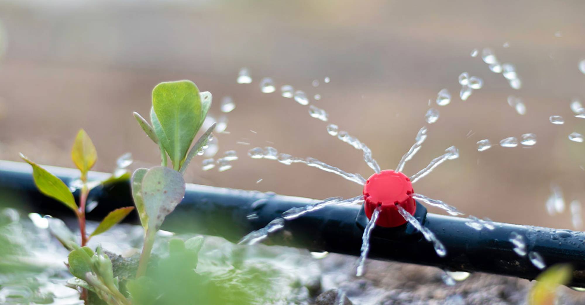 irrigation-system-blog-header.jpg
What is an irrigation system? Waterscapes explains its use
