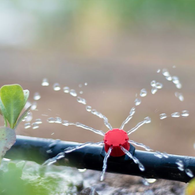 What is an irrigation system? Waterscapes explains its use