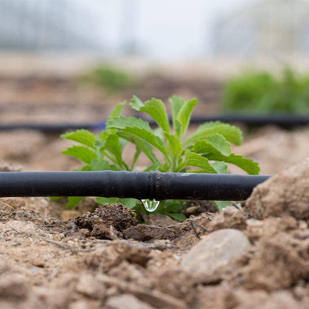 What is water irrigation and what purpose does it serve?